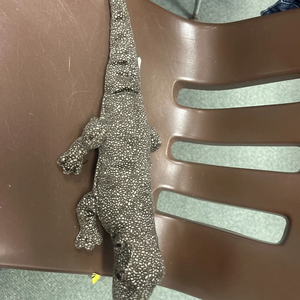 SOS Save Our Space Classic Komodo Dragon Lizard Stuffed Animal 2003 Realistic
